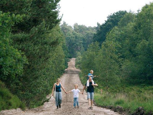 Wandelen