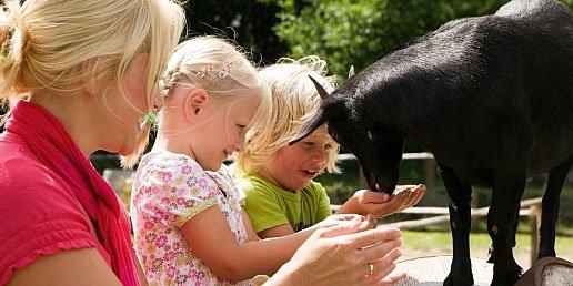 Kinderboerderij