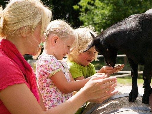 Kinderboerderij