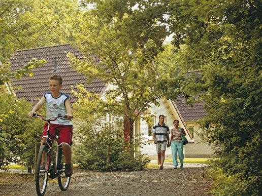 Lekker in het bos fietsen en wandelen