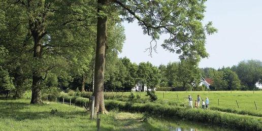 Wandelen langs het bos