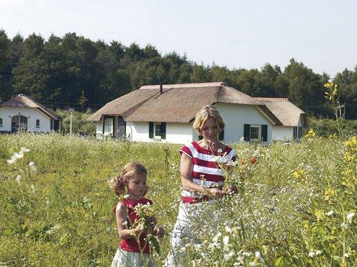 Bloemetjes plukken