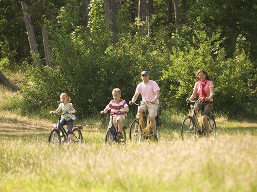 Fietsen door het bos