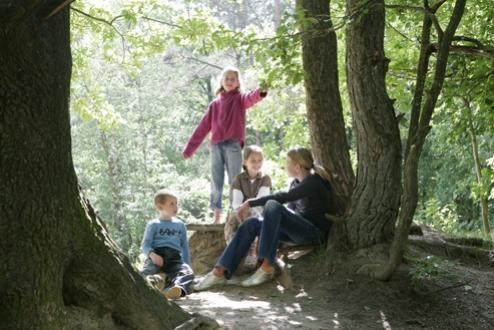 In het bos