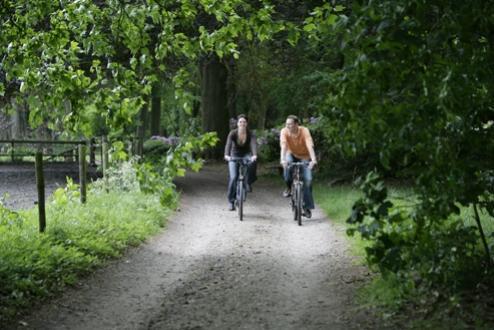 Fietsen in het bos