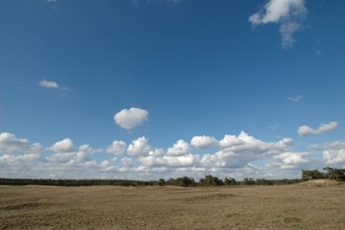 Foto 20, Landgoed De IJsvogel