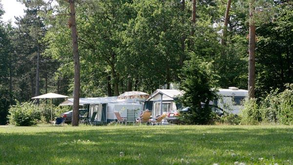 Caravans in het bos