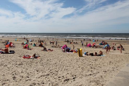 Foto 4, Noordwijkse Duinen