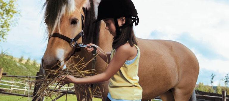 Foto 8, Park Le Lac d'Aillette