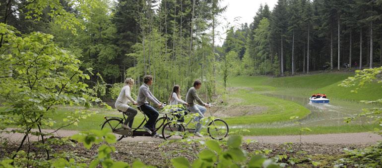 Foto 2, Les Trois Forêts