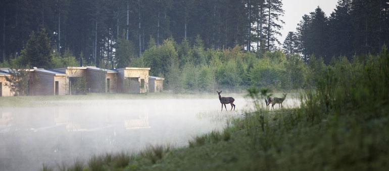 Foto 6, Les Trois Forêts