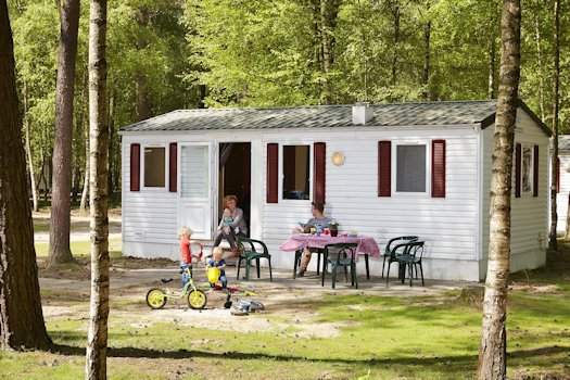 Bungalows in het bos