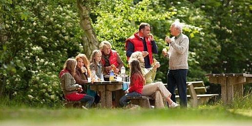 Picknicken in het bos