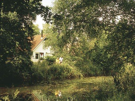 Sfeer huisjes bij het water