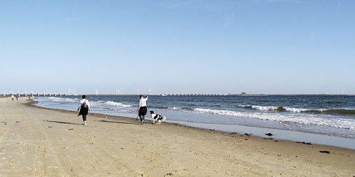 Strand en zee