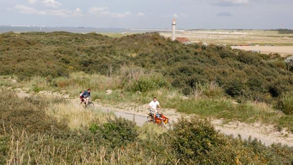 Duinen bij het park