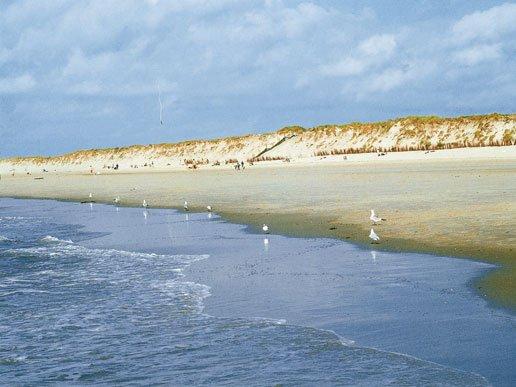 Strand en zee