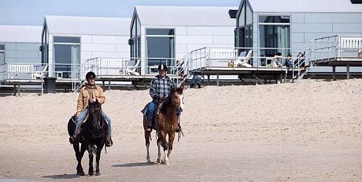 Paard rijden