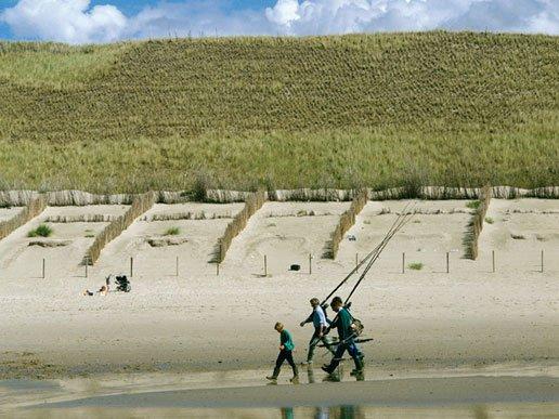 Vissen op het strand