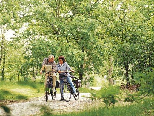 Fietsen in het bos