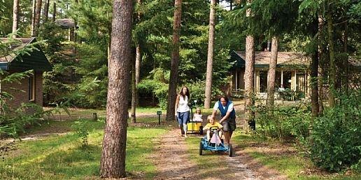 In het bos
