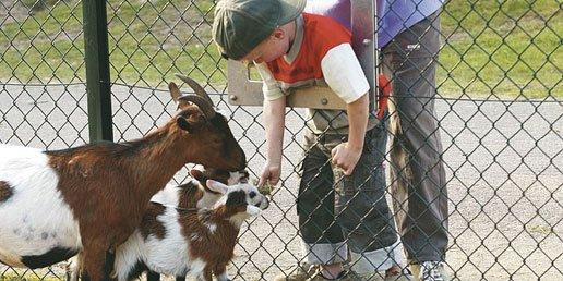 Kinderboerderij