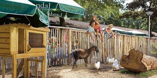 Kinderboerderij