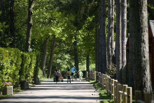 Foto 3, Narvik HomeParc Mooi Zutendaal