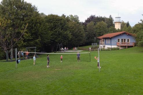Volleybal