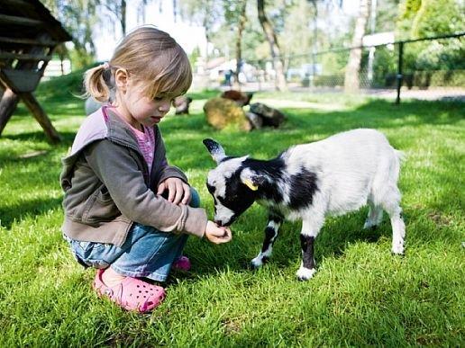 Kinderboerderij