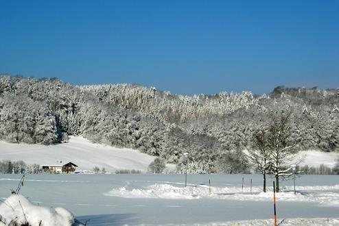 Bergen in de sneeuw