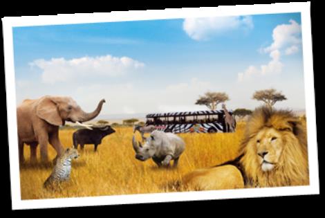 Safaripark Beekse Bergen