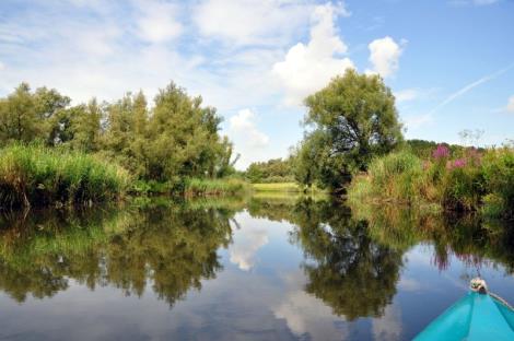 De Biesbosch (Dordrecht)