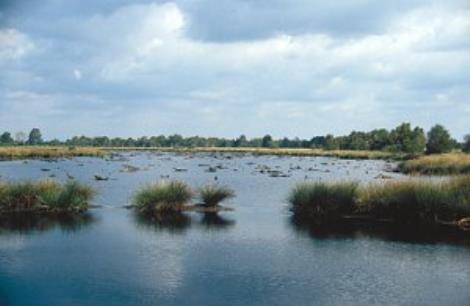 De Groote Peel