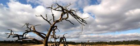 De Hoge Veluwe