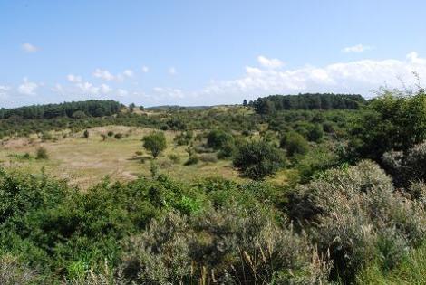 Zuid-Kennemerland