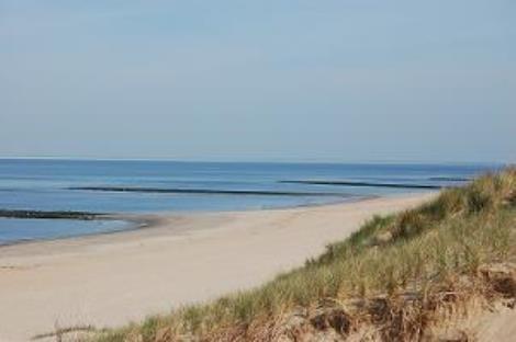 Huisduinen