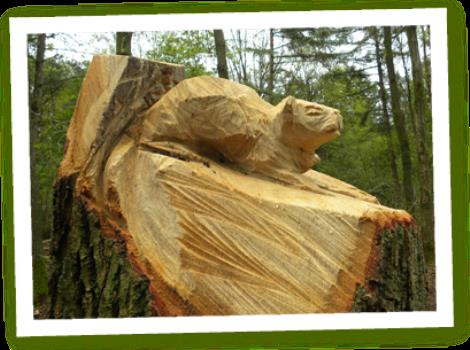 Speelbos de Kemmer
