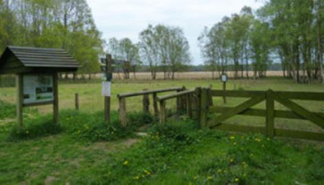 Boswandeling bij Heeten