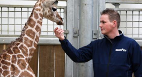 Burger's Zoo BV